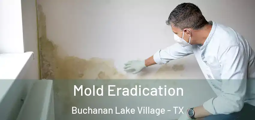  Mold Eradication Buchanan Lake Village - TX