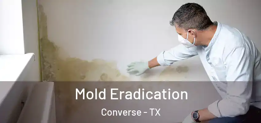  Mold Eradication Converse - TX
