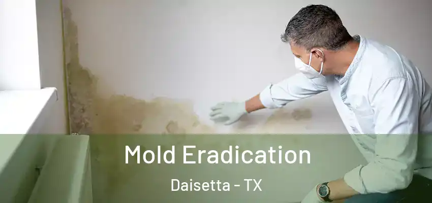  Mold Eradication Daisetta - TX