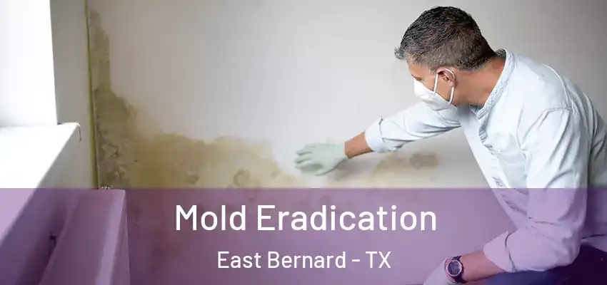 Mold Eradication East Bernard - TX