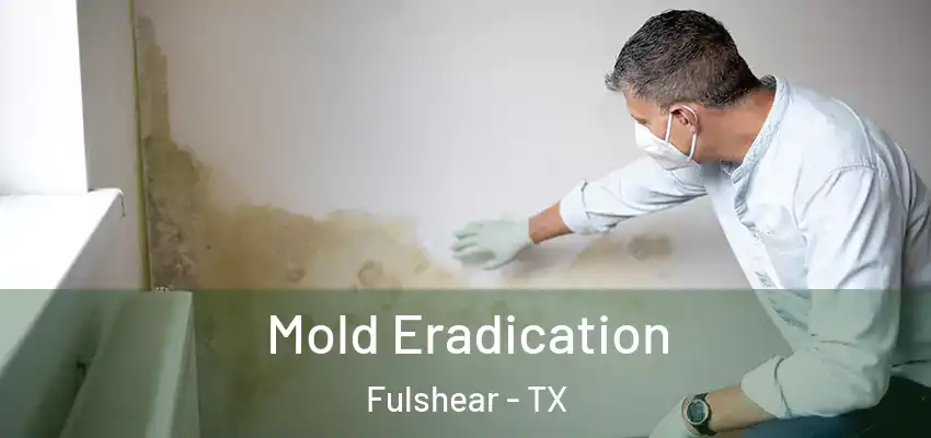  Mold Eradication Fulshear - TX