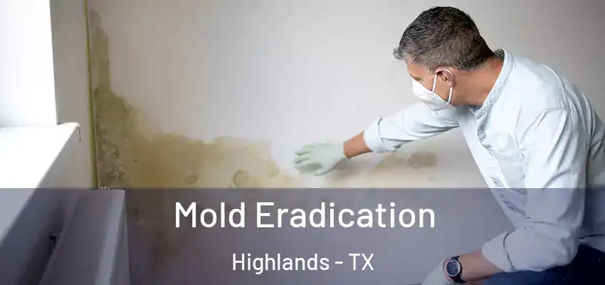  Mold Eradication Highlands - TX