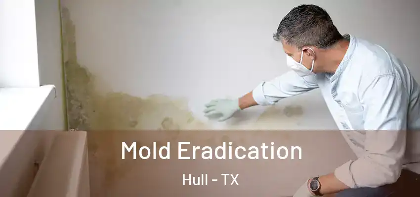  Mold Eradication Hull - TX