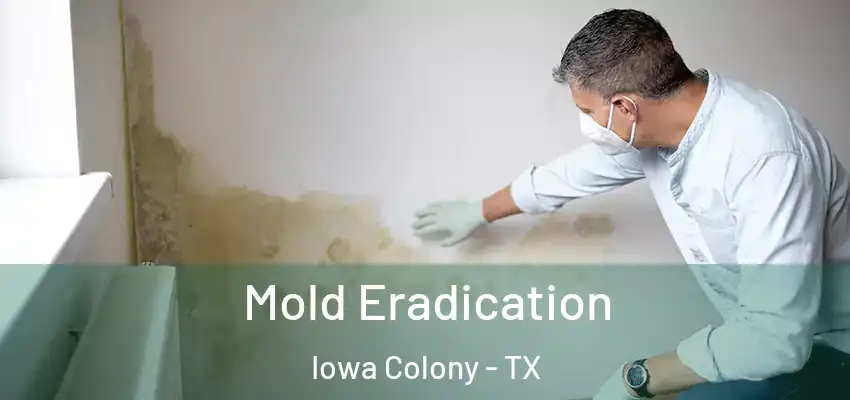  Mold Eradication Iowa Colony - TX