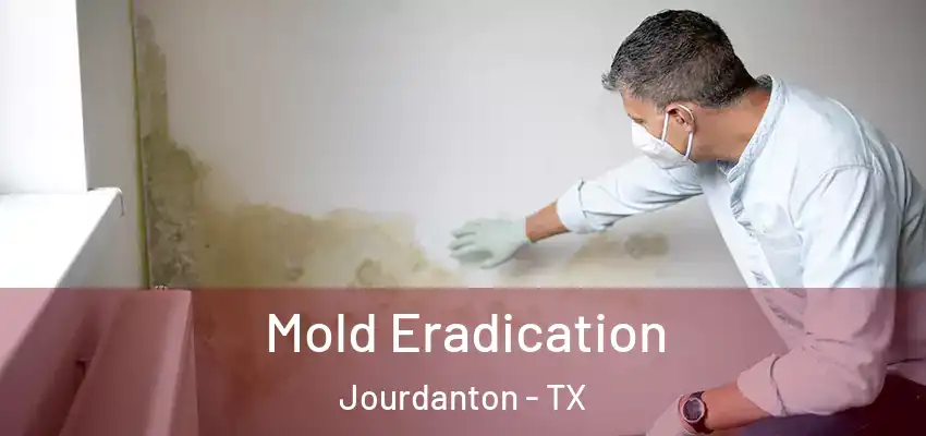  Mold Eradication Jourdanton - TX