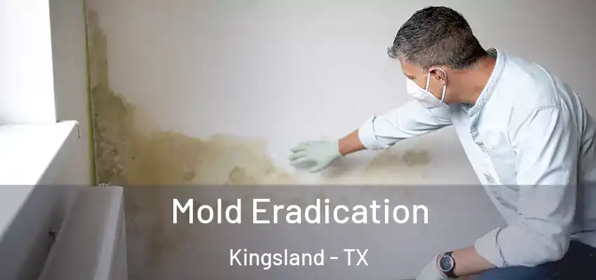  Mold Eradication Kingsland - TX