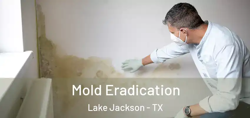  Mold Eradication Lake Jackson - TX