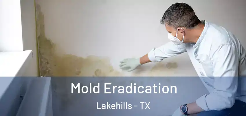  Mold Eradication Lakehills - TX