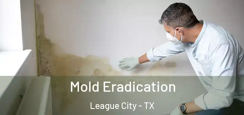  Mold Eradication League City - TX