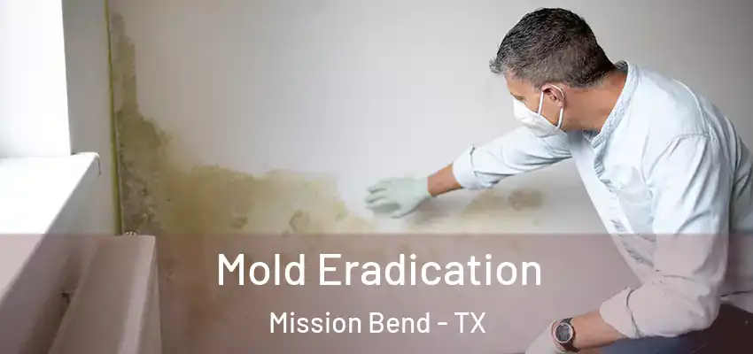  Mold Eradication Mission Bend - TX