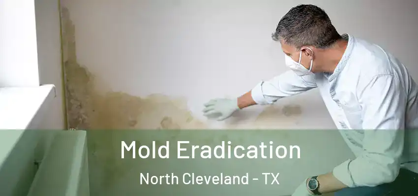  Mold Eradication North Cleveland - TX
