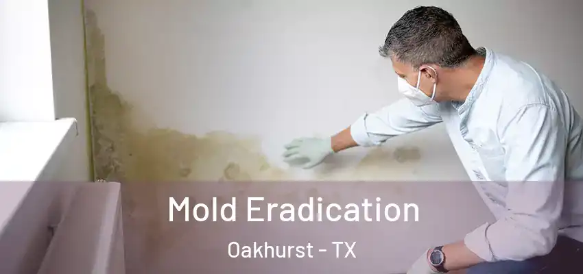  Mold Eradication Oakhurst - TX