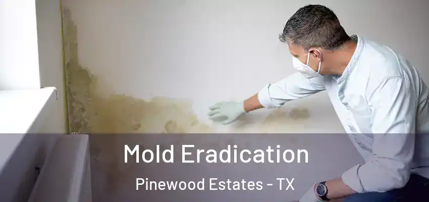  Mold Eradication Pinewood Estates - TX