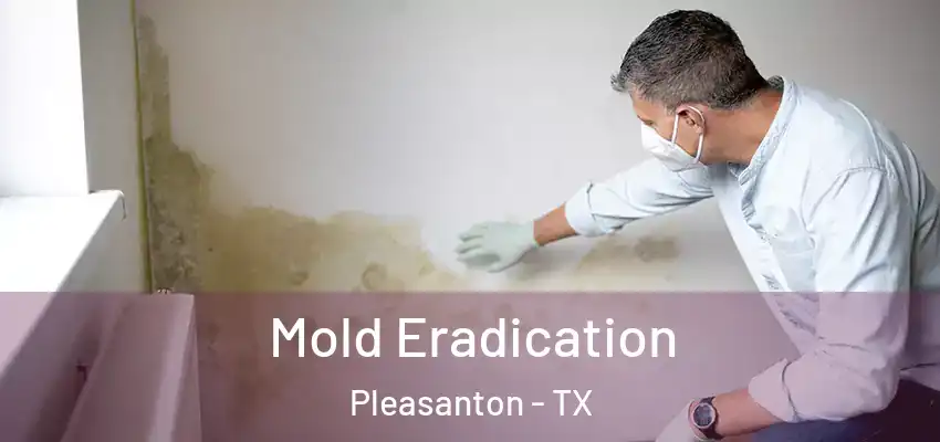  Mold Eradication Pleasanton - TX