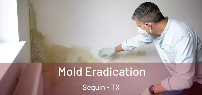  Mold Eradication Seguin - TX