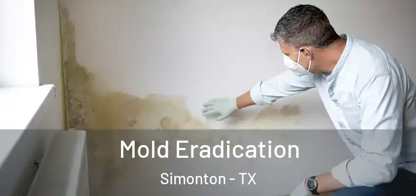  Mold Eradication Simonton - TX