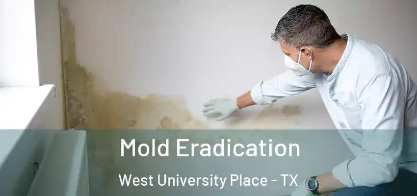  Mold Eradication West University Place - TX