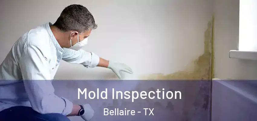  Mold Inspection Bellaire - TX