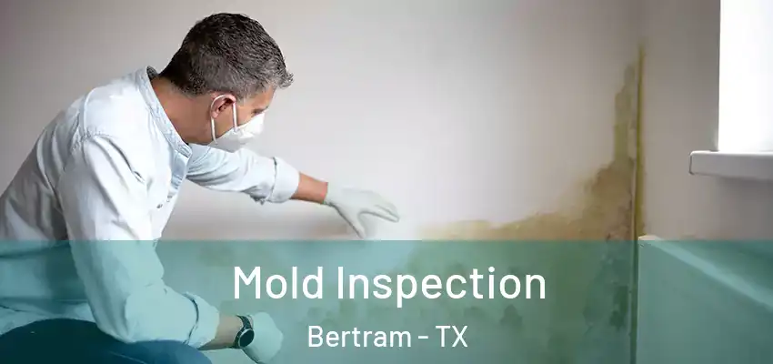  Mold Inspection Bertram - TX