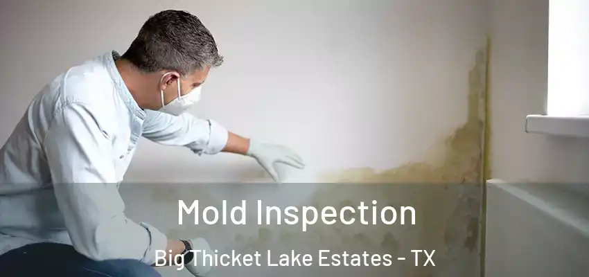  Mold Inspection Big Thicket Lake Estates - TX