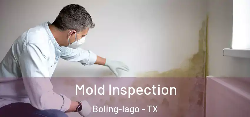  Mold Inspection Boling-Iago - TX