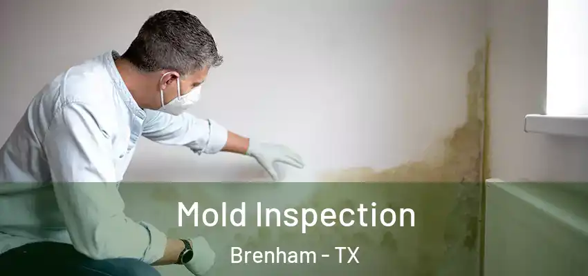  Mold Inspection Brenham - TX