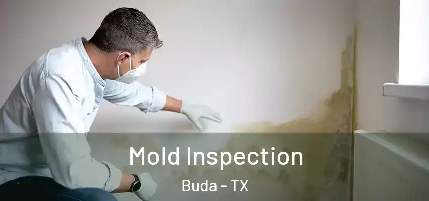  Mold Inspection Buda - TX