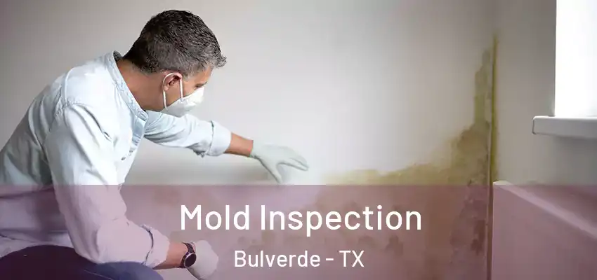  Mold Inspection Bulverde - TX