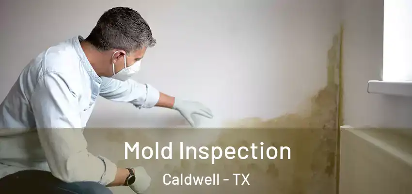  Mold Inspection Caldwell - TX