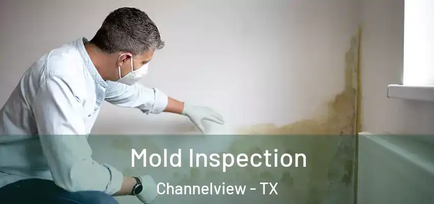  Mold Inspection Channelview - TX