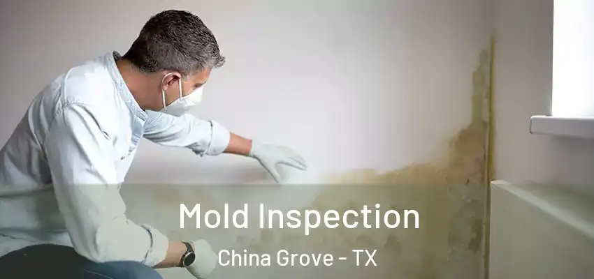  Mold Inspection China Grove - TX