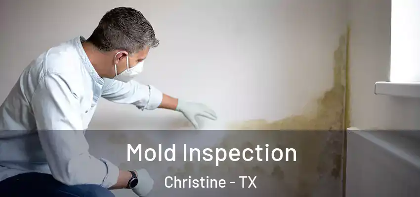  Mold Inspection Christine - TX