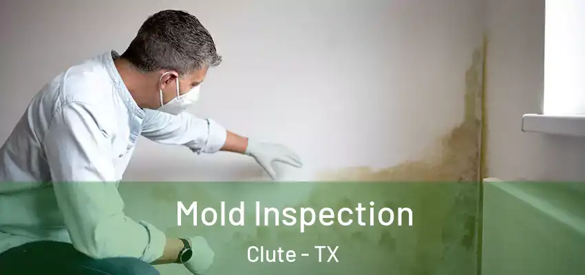  Mold Inspection Clute - TX