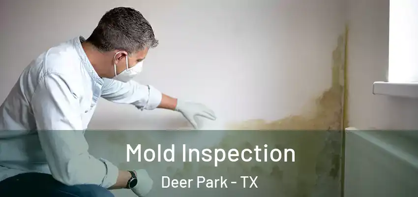  Mold Inspection Deer Park - TX