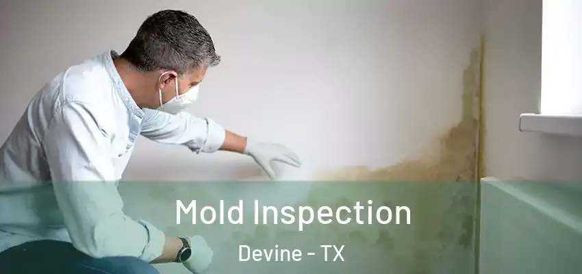  Mold Inspection Devine - TX