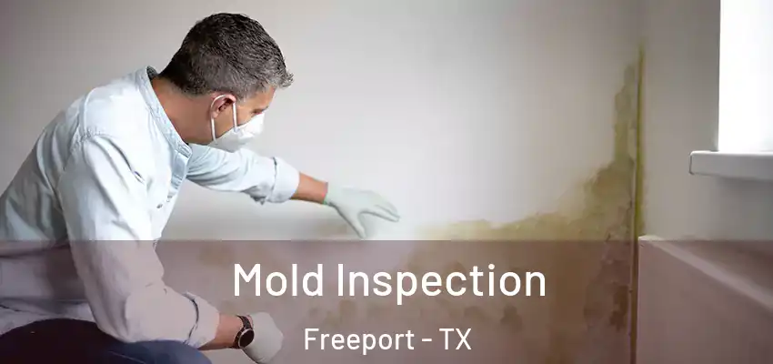  Mold Inspection Freeport - TX
