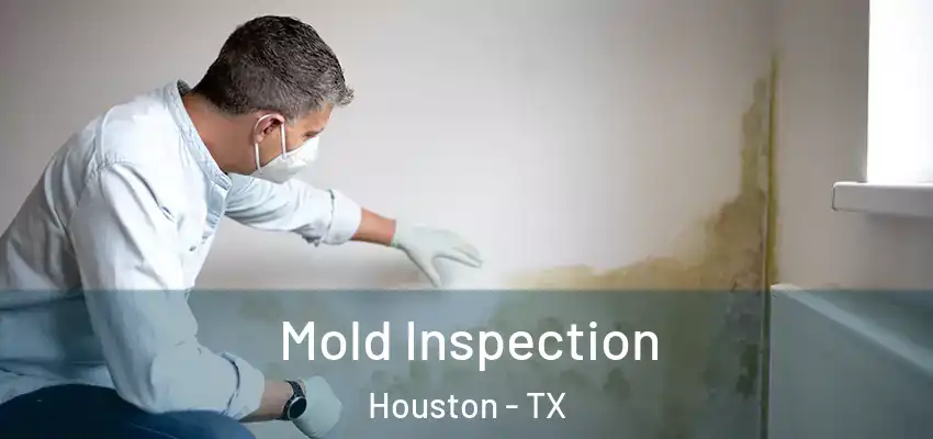  Mold Inspection Houston - TX