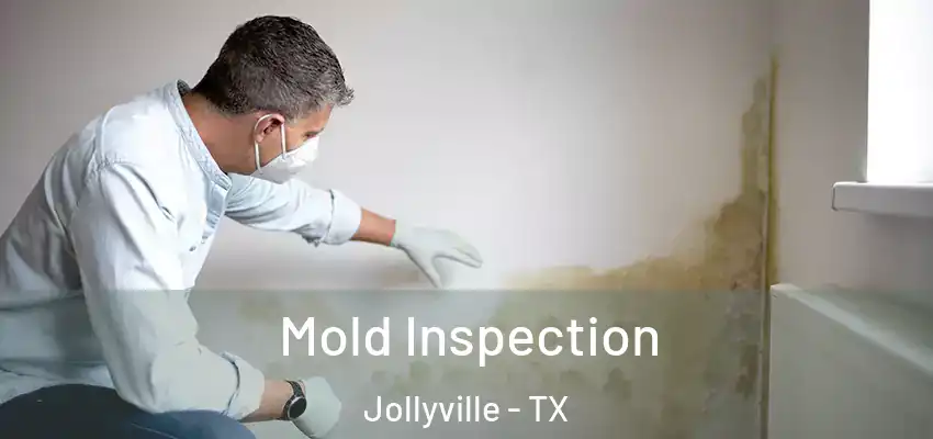  Mold Inspection Jollyville - TX
