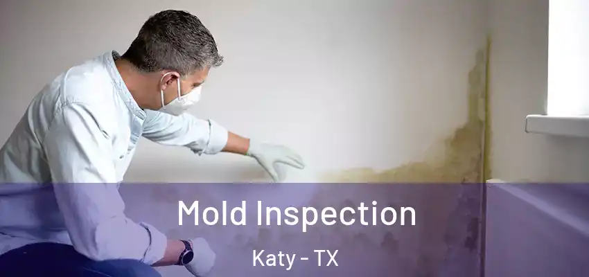  Mold Inspection Katy - TX