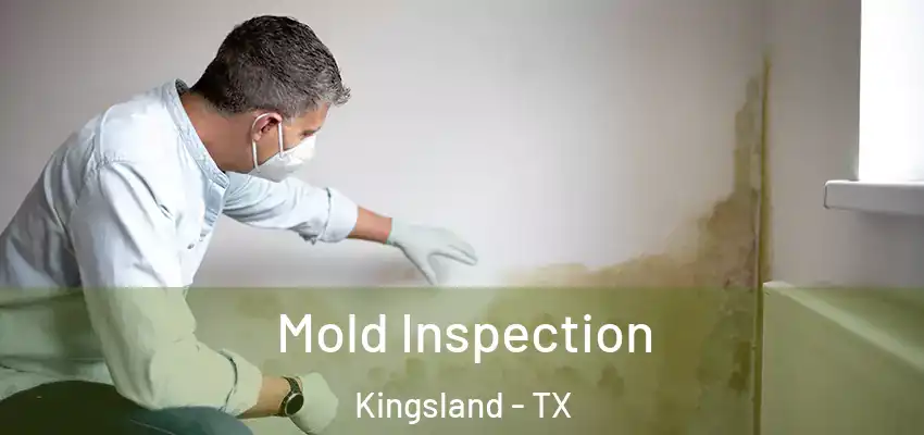  Mold Inspection Kingsland - TX