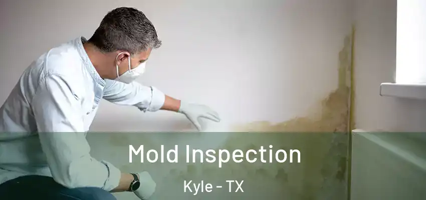  Mold Inspection Kyle - TX