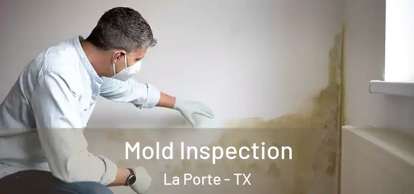  Mold Inspection La Porte - TX