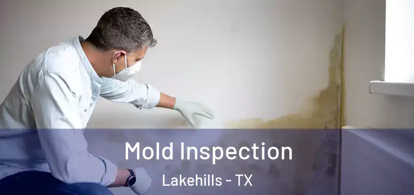  Mold Inspection Lakehills - TX