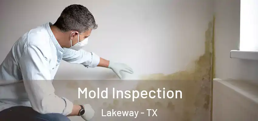  Mold Inspection Lakeway - TX