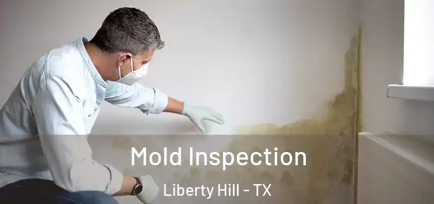  Mold Inspection Liberty Hill - TX