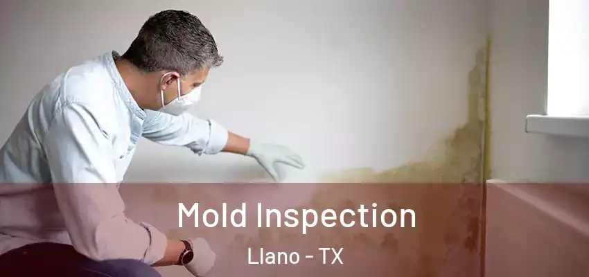  Mold Inspection Llano - TX