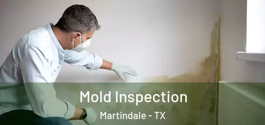  Mold Inspection Martindale - TX