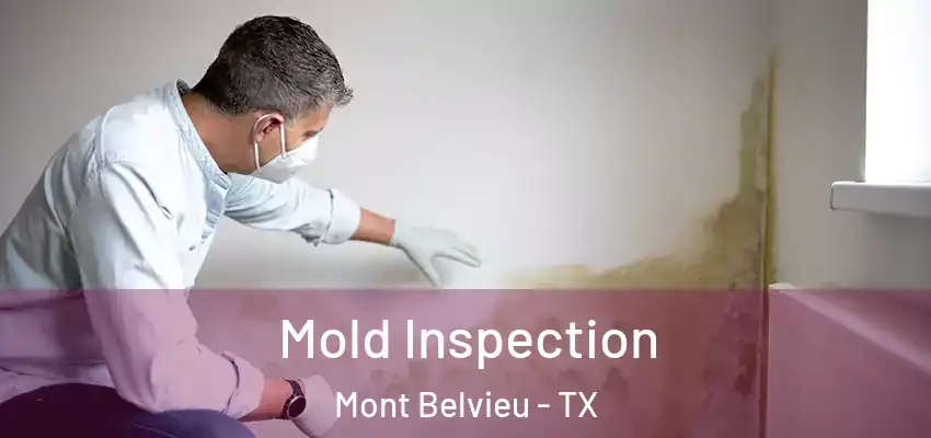  Mold Inspection Mont Belvieu - TX
