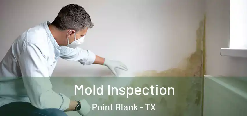  Mold Inspection Point Blank - TX