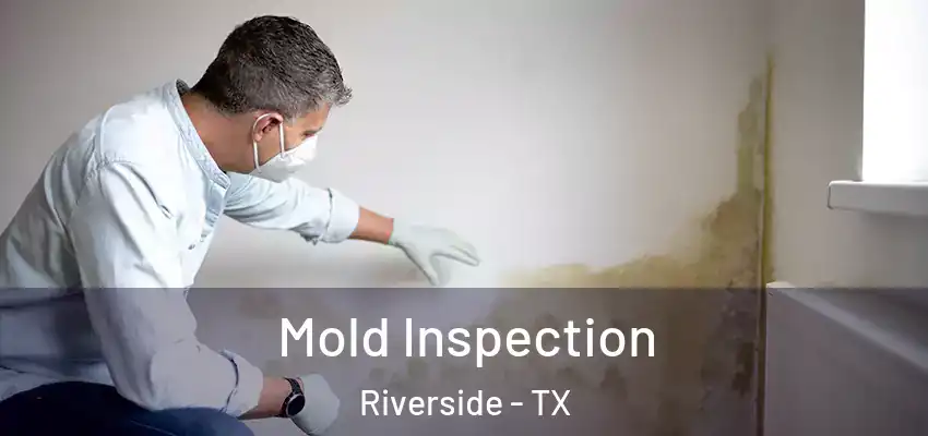 Mold Inspection Riverside - TX